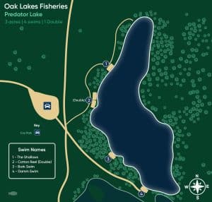 Predator Swim Map