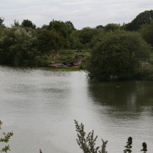 Oak Lake Fisheries - Oak Lake 11