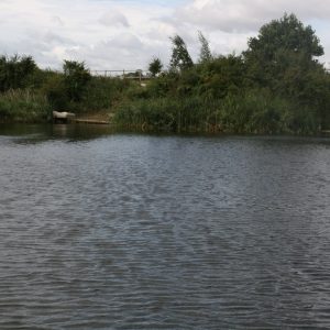Oak Lake Fisheries - Pipe Lake 5